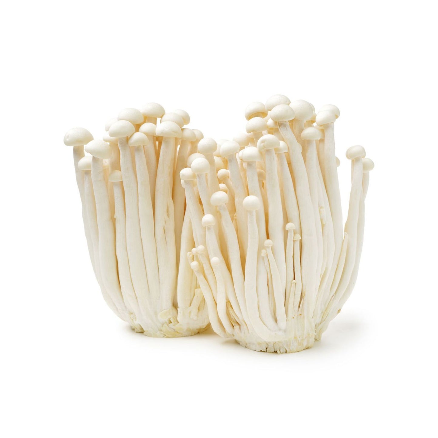 Enoki gomba 100g
