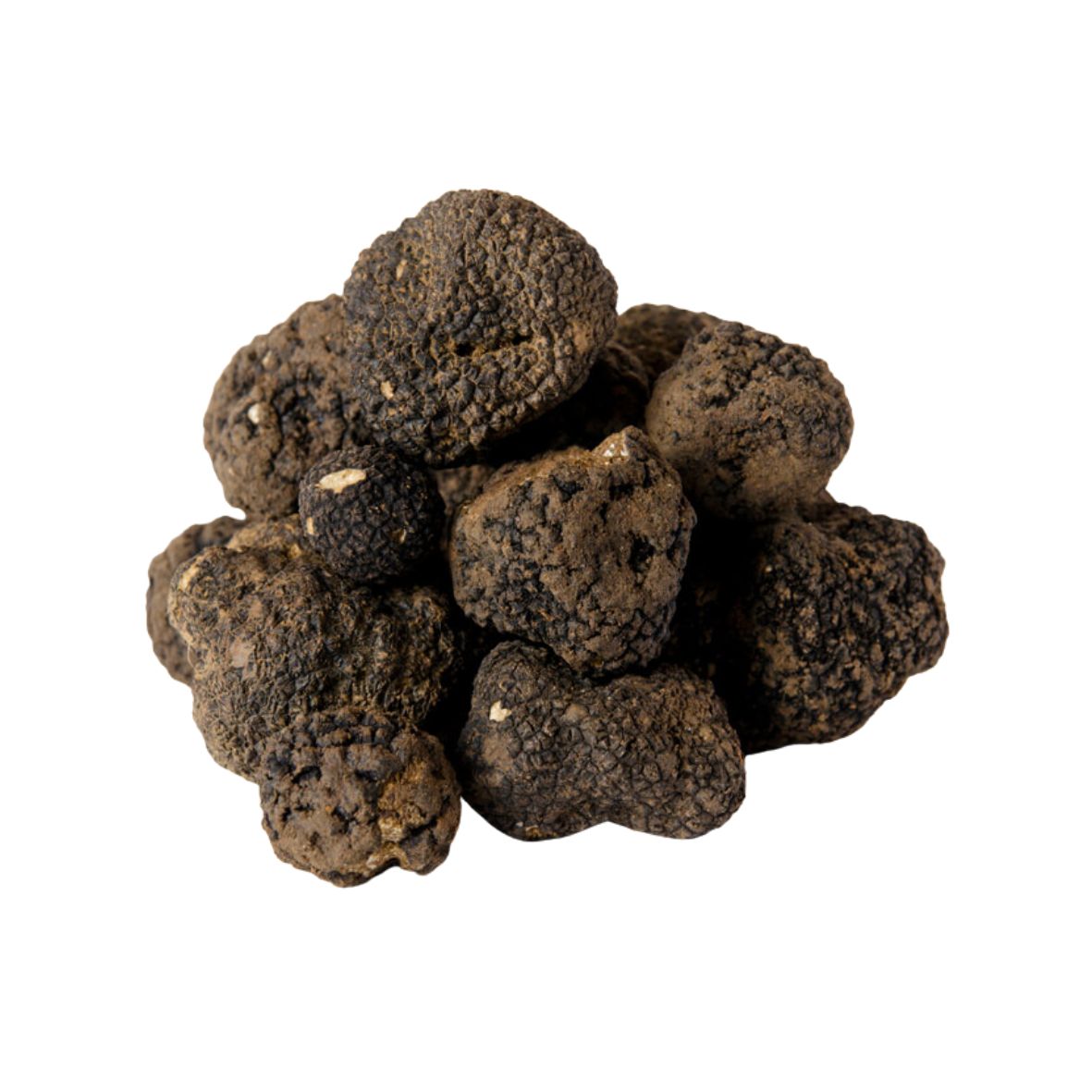 Nyári friss szarvasgomba