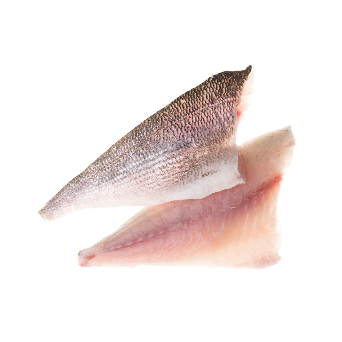 Sashal filé1,2-1,5kg bőrrel