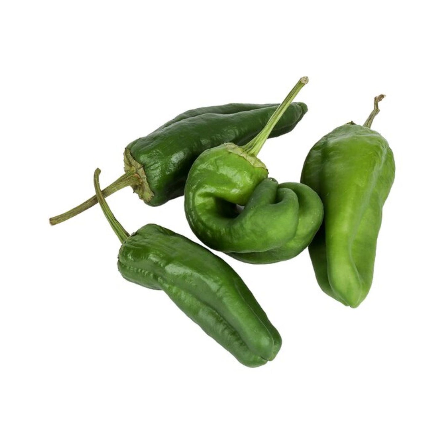 Padron paprika